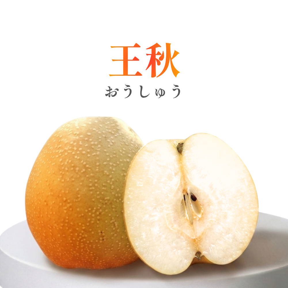王秋梨