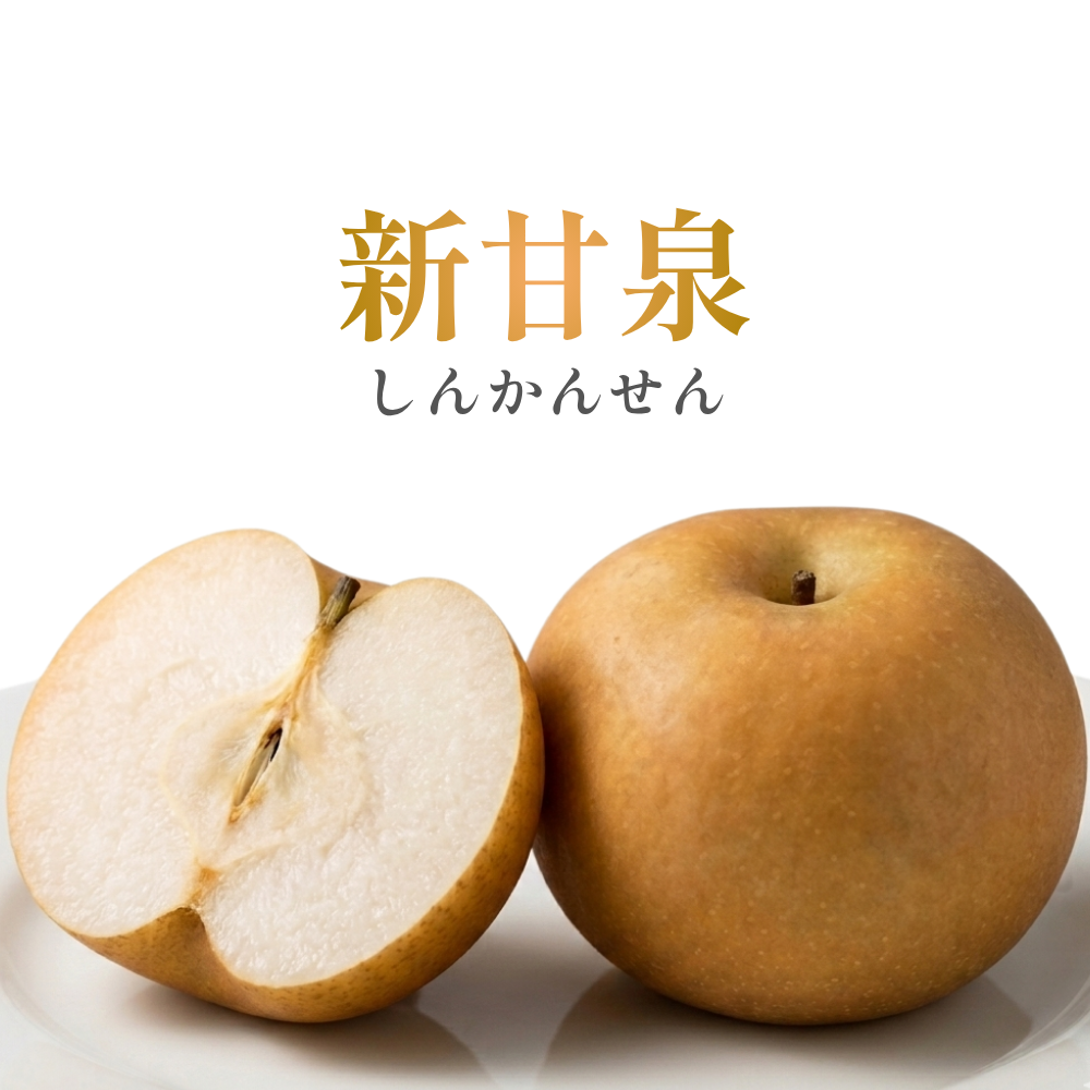 新甘泉