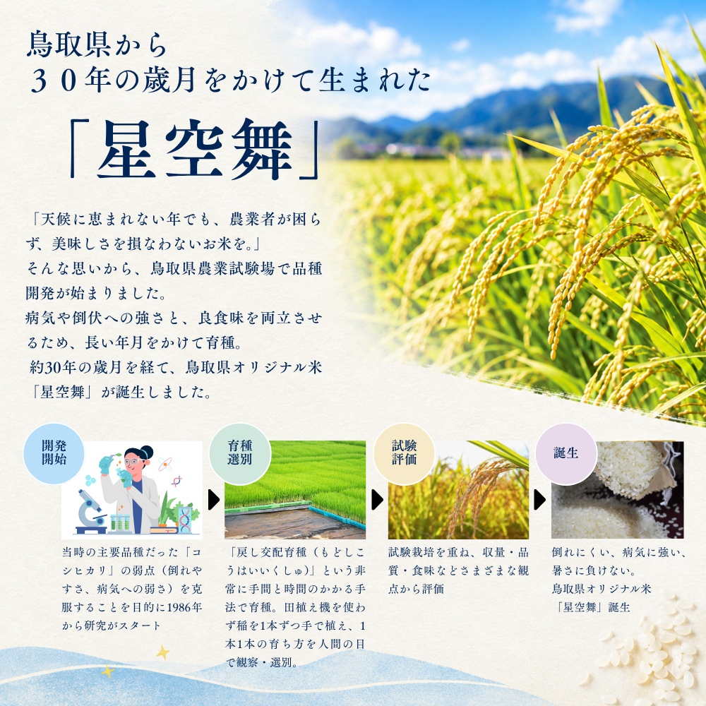 星空舞ができるまで