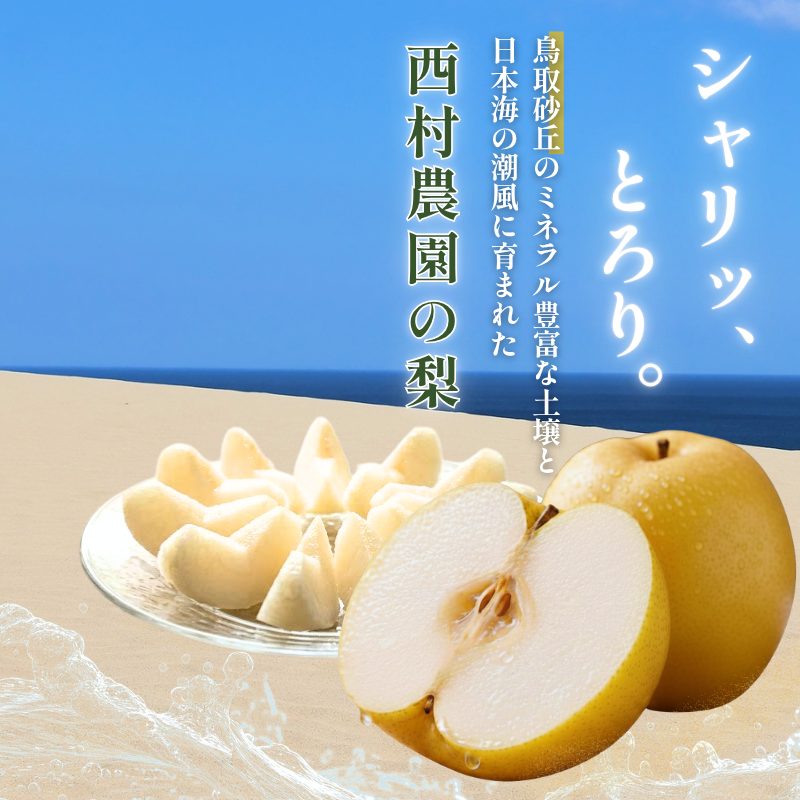 西村農園の梨 先行予約受付中