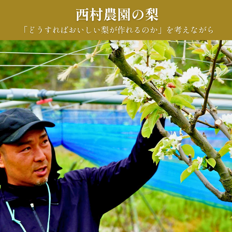 西村農園について