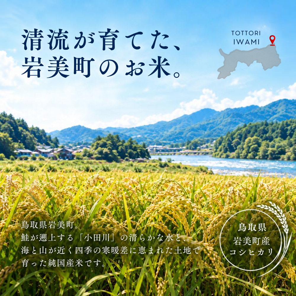清流が育てた、岩美町のお米