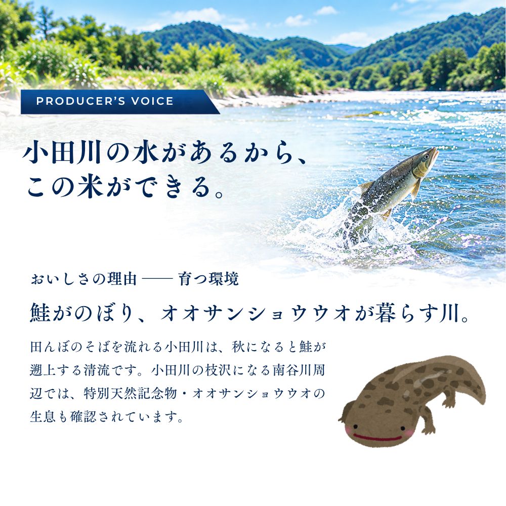小田川の水があるから、この米ができる