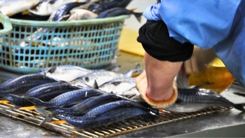 焼きサバの皮目に繊細な切れ目を入れる工程