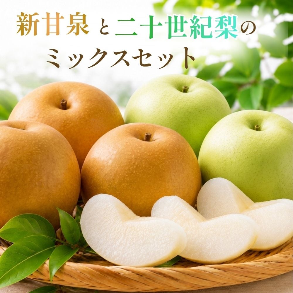 新甘泉と二十世紀梨のミックスセット 3kg（進物用のみ） | SAN'IN